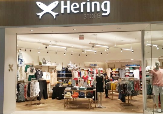 Hering